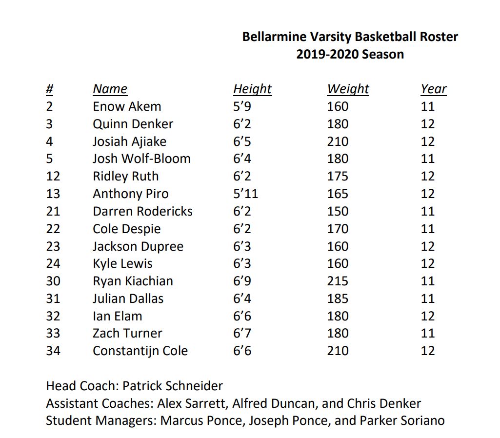 vbasketball20