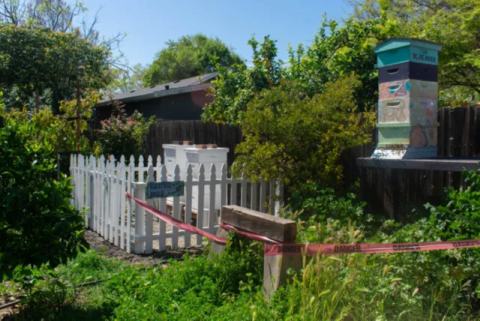 Student Clubs and Organizations, Garden Club 2023