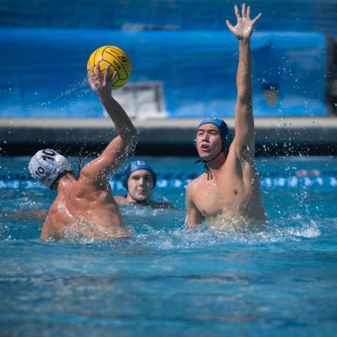 Water Polo  Bellarmine College Preparatory